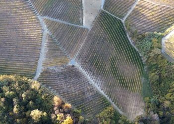 Terreno - Agricultural land via Roma, Serralunga d'Alba - photo 10