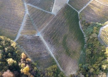Terreno - Agricultural land via Roma, Serralunga d'Alba - photo 11