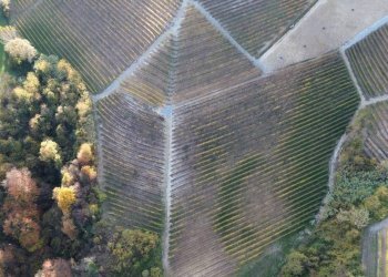 Terreno - Agricultural land via Roma, Serralunga d'Alba - photo 12
