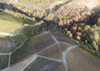 Terreno - Agricultural land via Roma, Serralunga d'Alba - photo 13