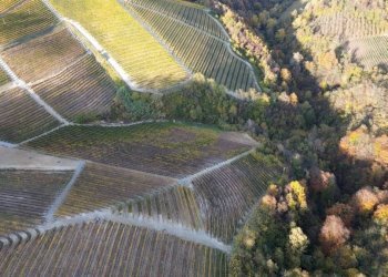 Terreno - Agricultural land via Roma, Serralunga d'Alba - photo 14