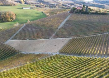 Terreno - Agricultural land via Roma, Serralunga d'Alba - photo 15