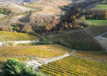 Terreno - Agricultural land via Roma, Serralunga d'Alba - photo 16