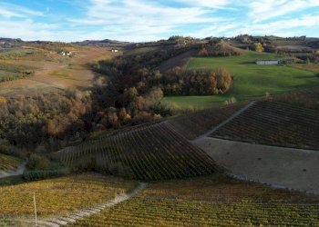 Terreno - Agricultural land via Roma, Serralunga d'Alba - photo 17