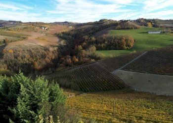 Terreno - Agricultural land via Roma, Serralunga d'Alba - photo 18