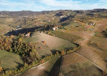 Terreno - Agricultural land via Roma, Serralunga d'Alba - photo 20