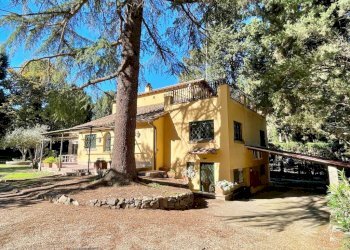 Giardino - Villa Roma - foto 28