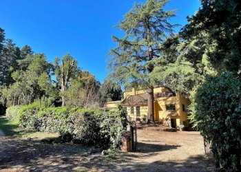 Giardino - Villa Roma - foto 36