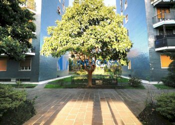 04 - Trilocale via Don Gnocchi, 33, Milano - foto 19