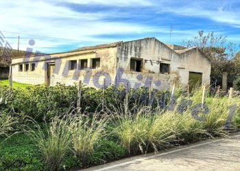 Terreno - Rustico SS187, Castellammare del Golfo - foto 5