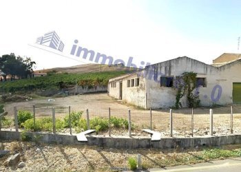 Terreno - Rustico SS187, Castellammare del Golfo - foto 9