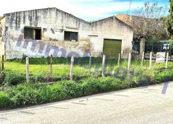 Terreno - Rustico SS187, Castellammare del Golfo - foto 19