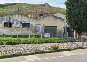 Terreno - Rustico SS187, Castellammare del Golfo - foto 21