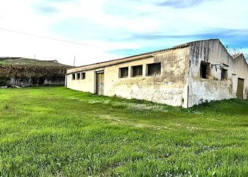 Terreno - Rustico SS187, Castellammare del Golfo - foto 33