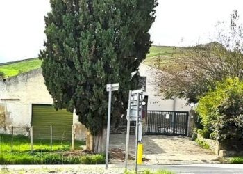 Terreno - Rustico SS187, Castellammare del Golfo - foto 41