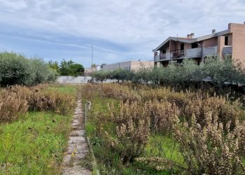 Building land Via Roberto Nasuti, Città Sant'Angelo - photo 1