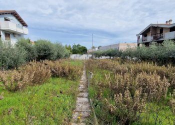 Building land Via Roberto Nasuti, Città Sant'Angelo - photo 6