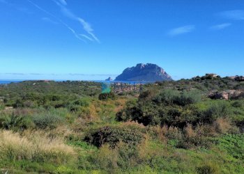 Villa a Schiera Via Monte Ortobene, Loiri Porto San Paolo - foto 8