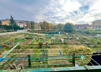 Quadrilocale Alba - foto 6