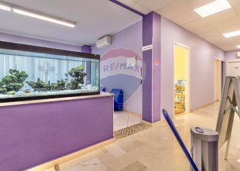 Ufficio Via Torino, 43
Centro, Biella - foto 3