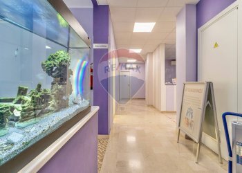 Ufficio Via Torino, 43
Centro, Biella - foto 4