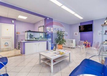 Ufficio Via Torino, 43
Centro, Biella - foto 5