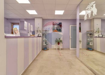 Ufficio Via Torino, 43
Centro, Biella - foto 27