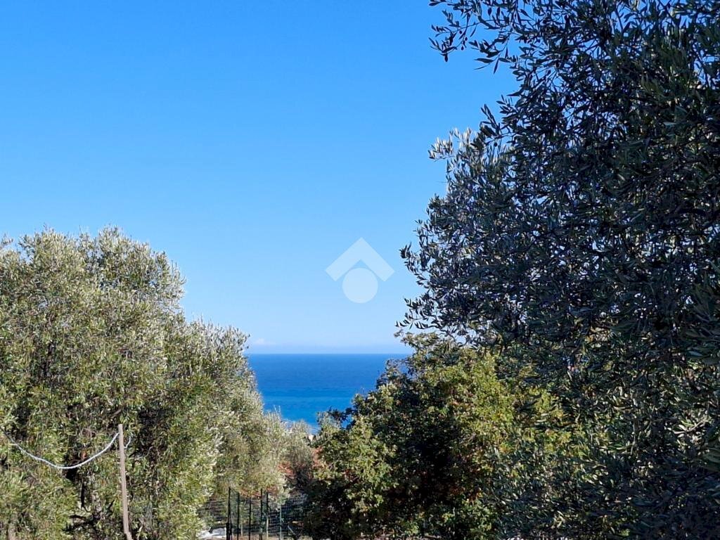 Agricultural land Strada Catella, Diano Marina - photo 1