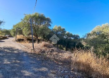 Terreno agricolo Strada Catella, Diano Marina - foto 10