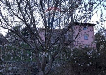 Agriturismo via arturo rossi, 21 
 Campegli, Castiglione Chiavarese - foto 63
