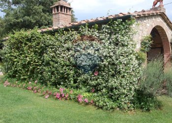 Villa Strada Provinciale di Petriolo, 61 
 Civitella Paganico, Civitella Paganico - photo 39