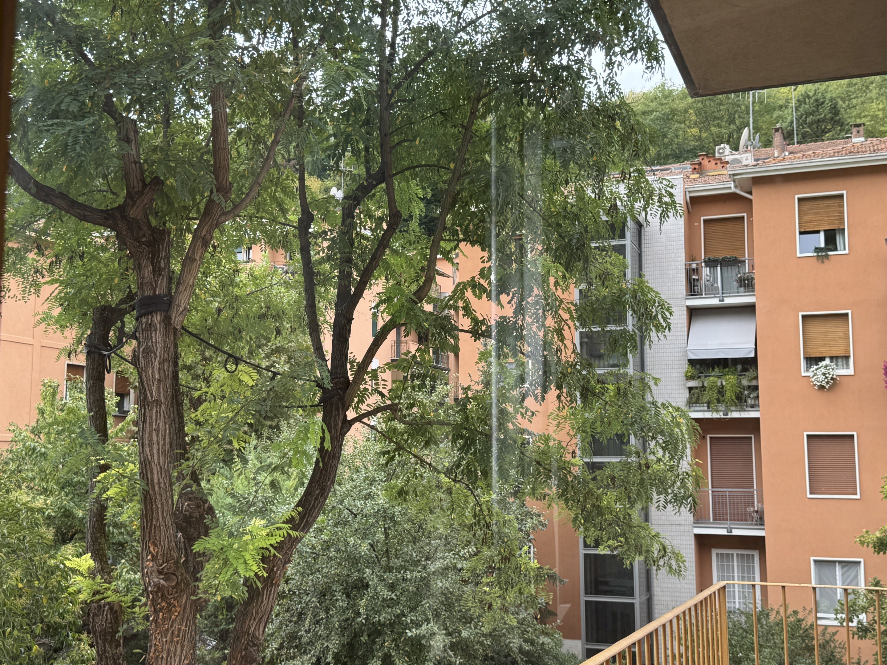 Apartment Bologna (neighborhood San Mamolo) - photo 3