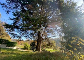 Terreno edificabile Regione San Dalmazzo, Rivalba - foto 7