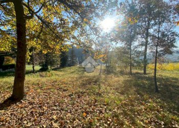 Terreno edificabile Regione San Dalmazzo, Rivalba - foto 9