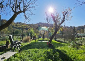 Casa semi indipendente Via Colombaro, San Sebastiano da Po - foto 24