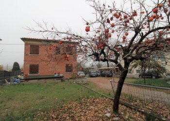 Independent house Viale Dante, Sassuolo - photo 8