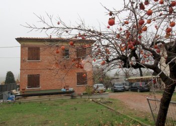 Independent house Viale Dante, Sassuolo - photo 13