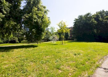 Quadrilocale via Giuseppe Verdi, frazione Milano 3, Basiglio - foto 13