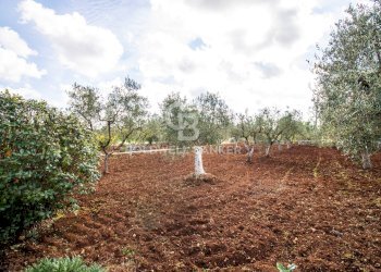 Foto 41 - Baita Contrada Salinola, Ostuni - foto 41