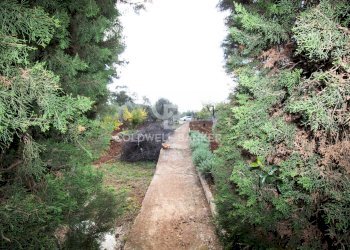 Foto 42 - Baita Contrada Salinola, Ostuni - foto 42