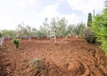 Foto 43 - Baita Contrada Salinola, Ostuni - foto 43