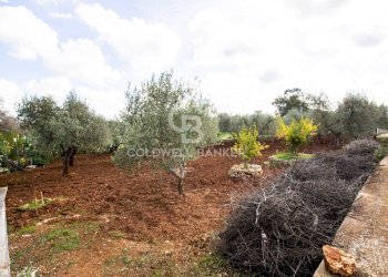 Foto 44 - Baita Contrada Salinola, Ostuni - foto 44