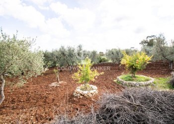 Foto 45 - Baita Contrada Salinola, Ostuni - foto 45