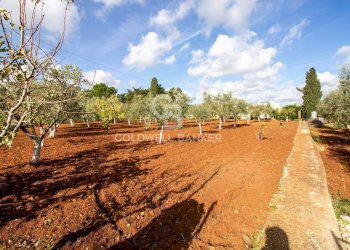 Foto 48 - Baita Contrada Salinola, Ostuni - foto 48