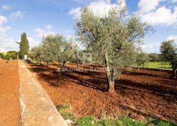 Foto 50 - Baita Contrada Salinola, Ostuni - foto 50
