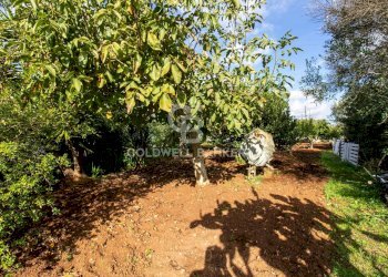 Foto 55 - Baita Contrada Salinola, Ostuni - foto 55