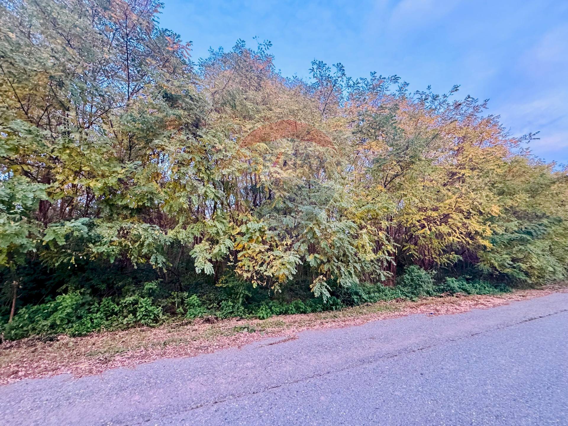 Terreno - Terreno edificabile Romagnano Sesia - foto 3