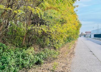 Terreno - Terreno edificabile Romagnano Sesia - foto 4