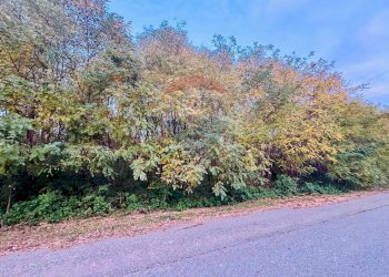 Terreno - Terreno edificabile Romagnano Sesia - foto 5