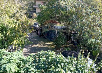 Giardino - Casa semi indipendente Santi Cosma e Damiano - foto 12